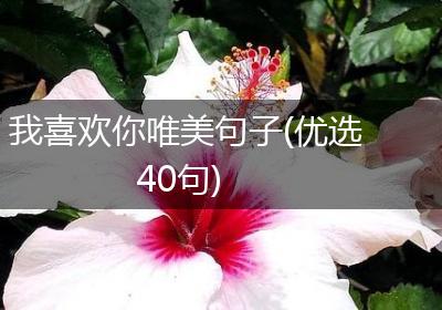 我喜欢你唯美句子(优选40句)