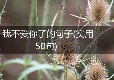 我不爱你了的句子(实用50句)