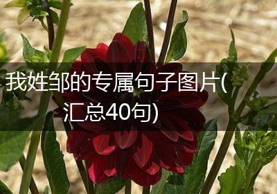 我姓邹的专属句子图片(汇总40句)