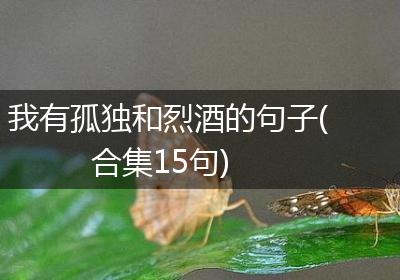 我有孤独和烈酒的句子(合集15句)