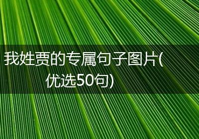 我姓贾的专属句子图片(优选50句)