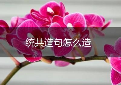 统共造句怎么造