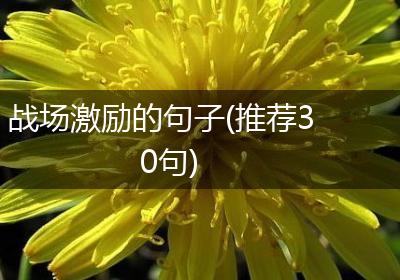 战场激励的句子(推荐30句)