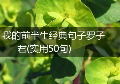 我的前半生经典句子罗子君(实用50句)