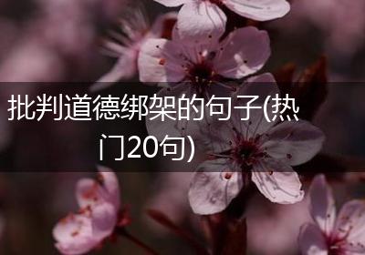 批判道德绑架的句子(热门20句)