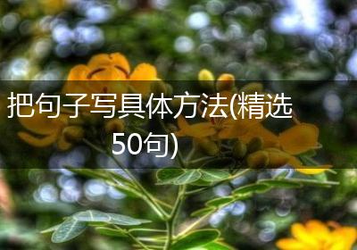 把句子写具体方法(精选50句)