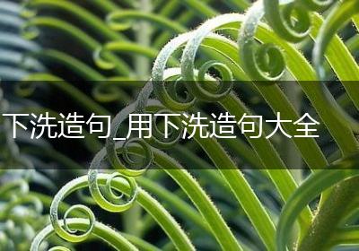 下洗造句_用下洗造句大全
