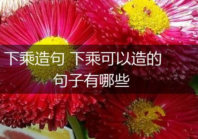 下乘造句 下乘可以造的句子有哪些