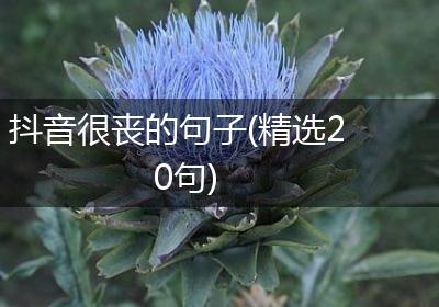抖音很丧的句子(精选20句)