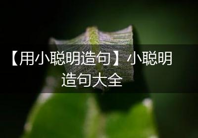 【用小聪明造句】小聪明造句大全