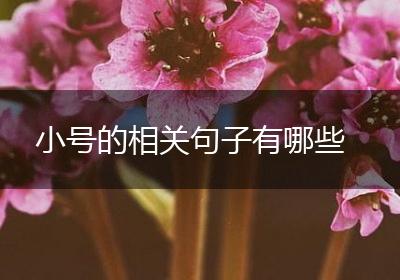 小号的相关句子有哪些