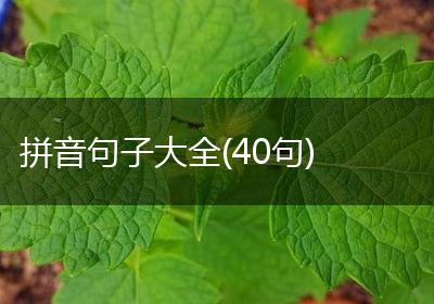 拼音句子大全(40句)