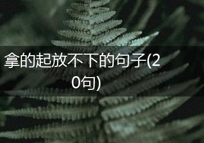 拿的起放不下的句子(20句)