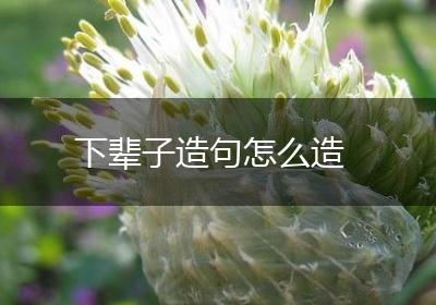 下辈子造句怎么造