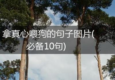 拿真心喂狗的句子图片(必备10句)