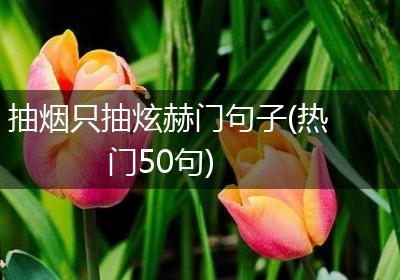 抽烟只抽炫赫门句子(热门50句)