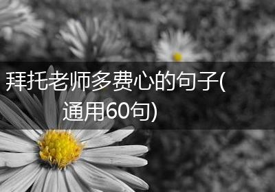 拜托老师多费心的句子(通用60句)