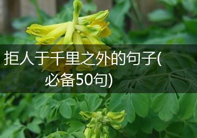 拒人于千里之外的句子(必备50句)