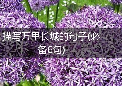 描写万里长城的句子(必备6句)
