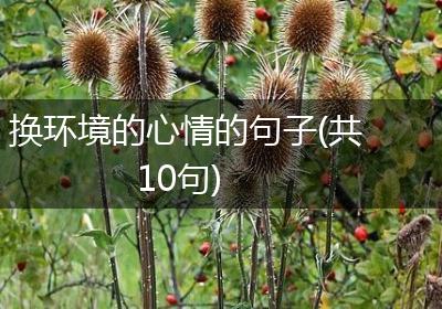 换环境的心情的句子(共10句)