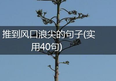 推到风口浪尖的句子(实用40句)