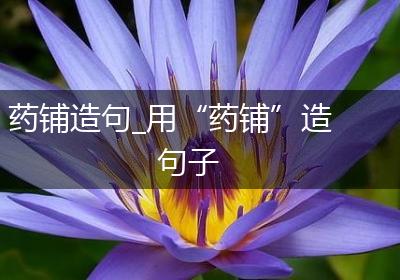 药铺造句_用“药铺”造句子