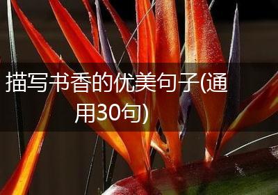 描写书香的优美句子(通用30句)