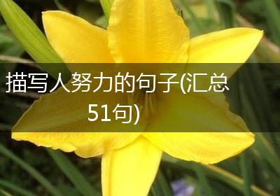 描写人努力的句子(汇总51句)