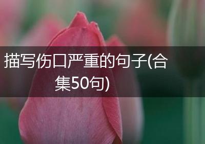 描写伤口严重的句子(合集50句)