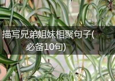 描写兄弟姐妹相聚句子(必备10句)