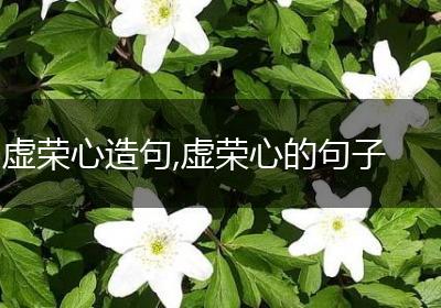 虚荣心造句,虚荣心的句子