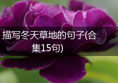描写冬天草地的句子(合集15句)