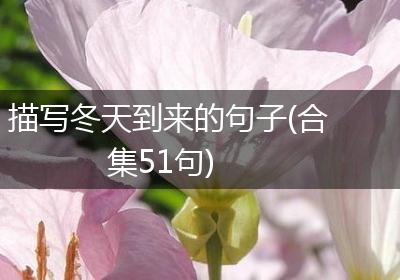 描写冬天到来的句子(合集51句)