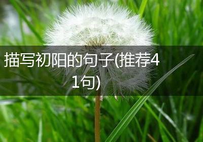 描写初阳的句子(推荐41句)