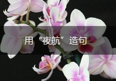 用“夜航”造句