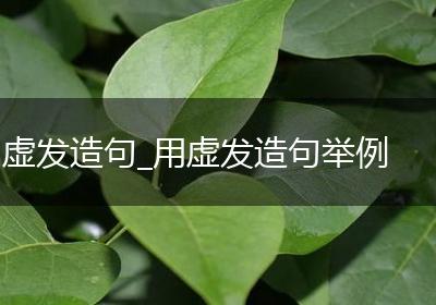 虚发造句_用虚发造句举例