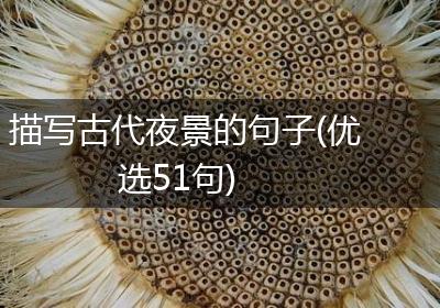 描写古代夜景的句子(优选51句)
