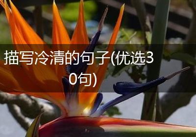 描写冷清的句子(优选30句)