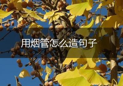 用烟管怎么造句子