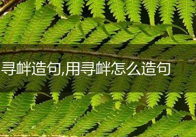 寻衅造句,用寻衅怎么造句