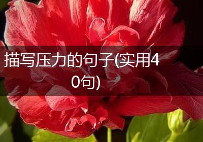 描写压力的句子(实用40句)