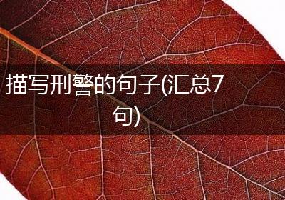 描写刑警的句子(汇总7句)