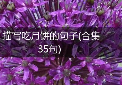 描写吃月饼的句子(合集35句)