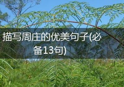 描写周庄的优美句子(必备13句)