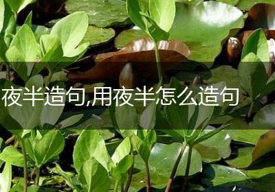 夜半造句,用夜半怎么造句