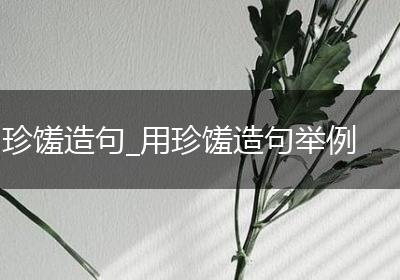 珍馐造句_用珍馐造句举例