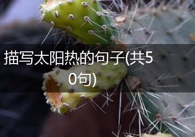 描写太阳热的句子(共50句)