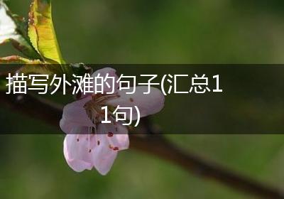 描写外滩的句子(汇总11句)