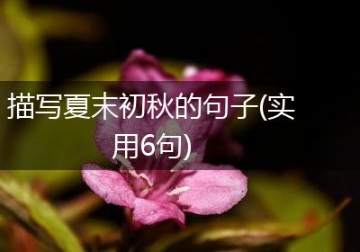 描写夏末初秋的句子(实用6句)