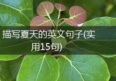 描写夏天的英文句子(实用15句)